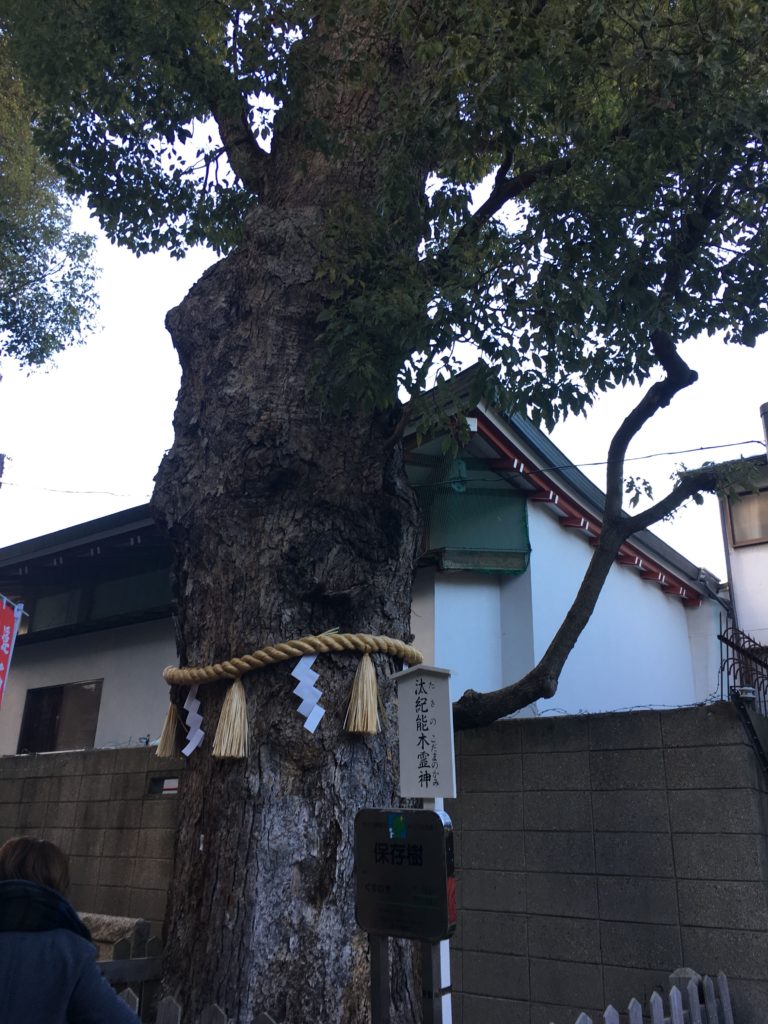阿倍王子神社のご神木