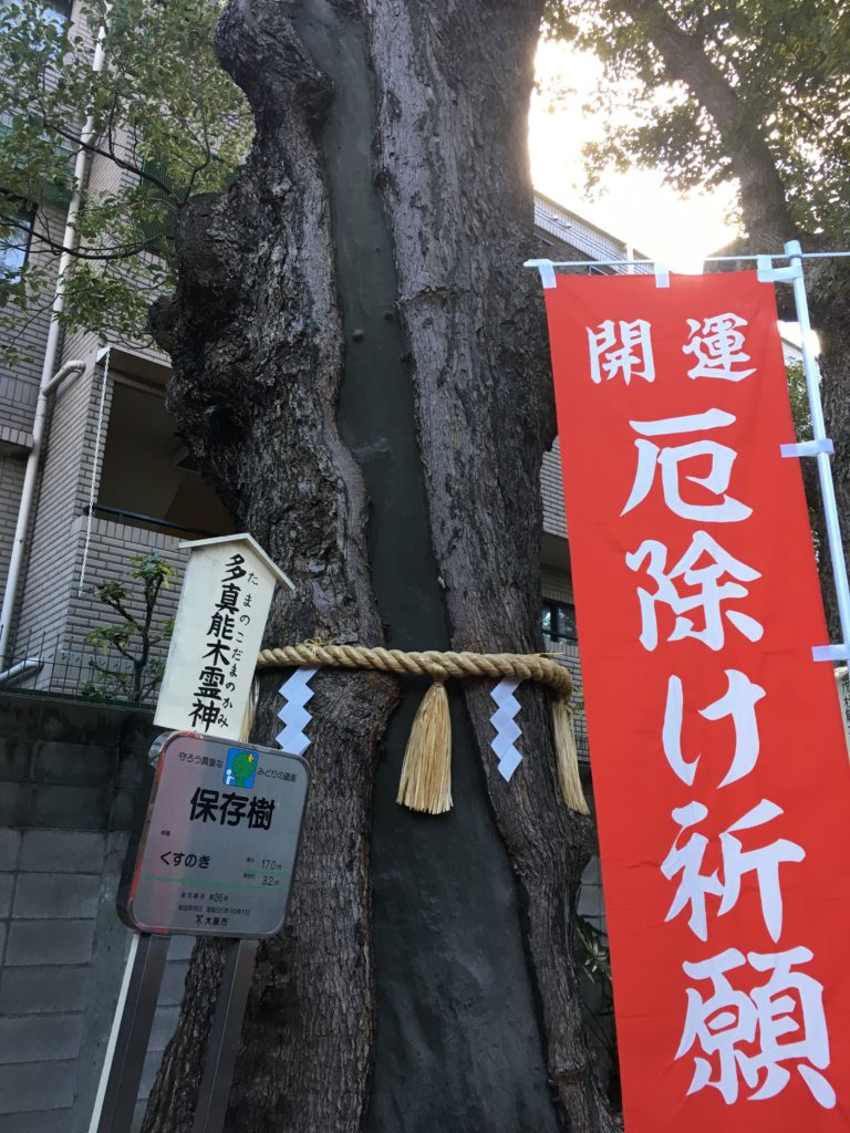 阿倍王子神社のご神木