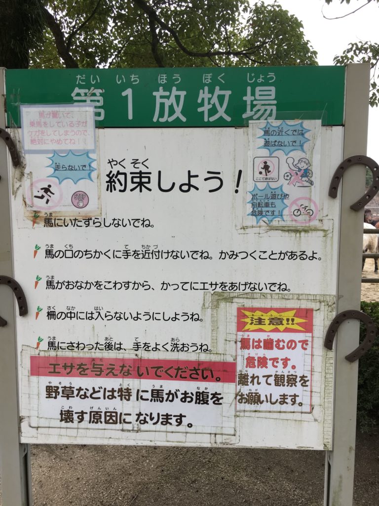 野間馬ハイランド 第1放牧場